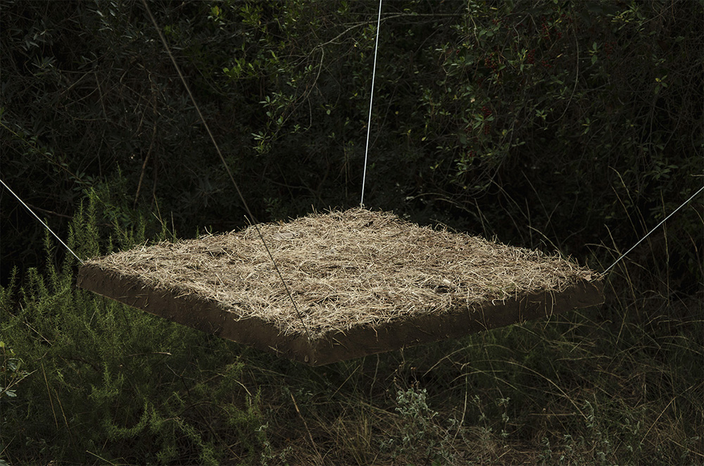 1 square meter clod of earth lifted from the ground in a natural oasis